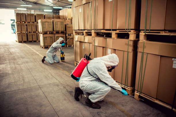 Trusted Indian Hills, NV Pest Control Experts