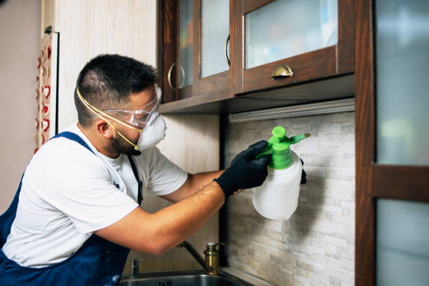 Best Best Pest Control Companies  in Indian Hills, NV