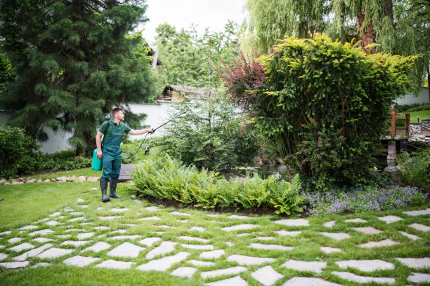 Best Best Pest Control Companies  in Indian Hills, NV