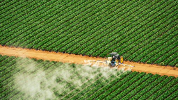 Best Commercial Pest Control Services  in Indian Hills, NV